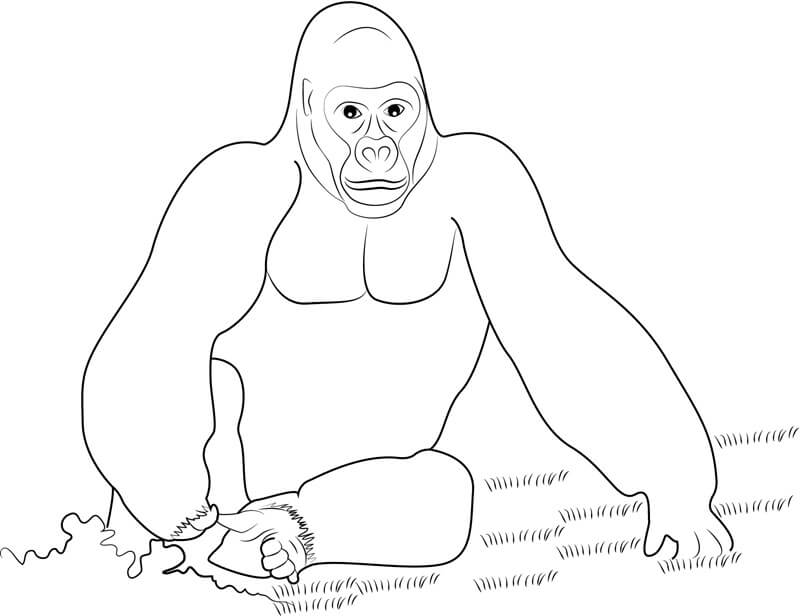 Dibujo de King Kong Sentado para Colorear
