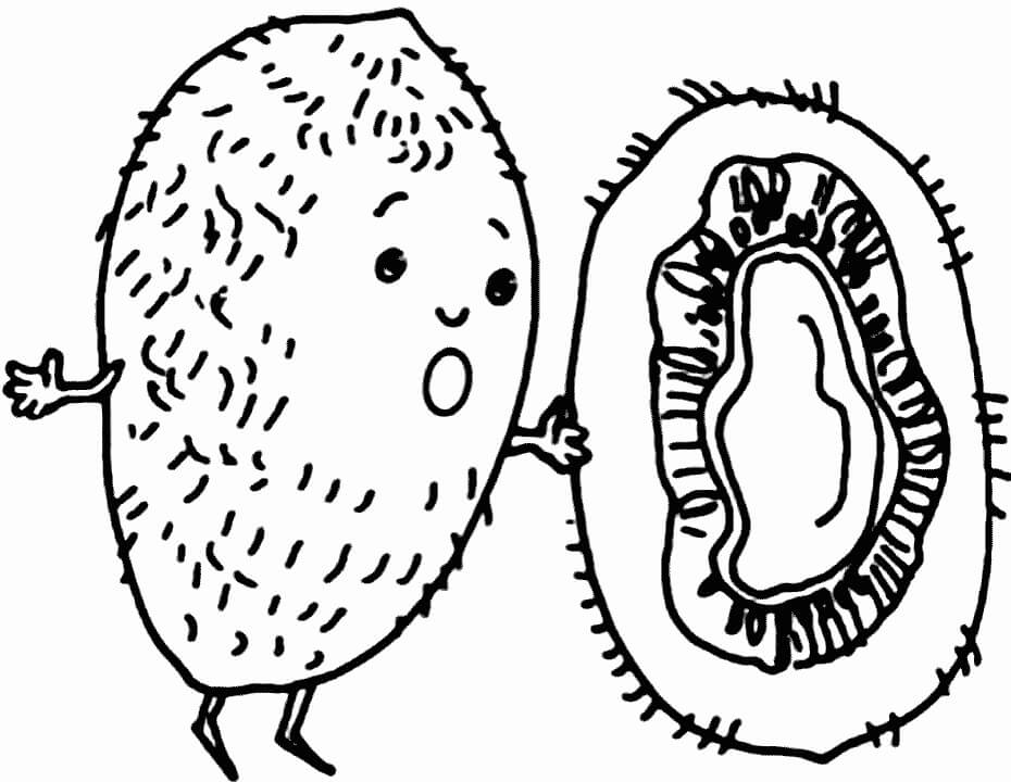 Dibujo de Dibujos Animados Kiwi para Colorear