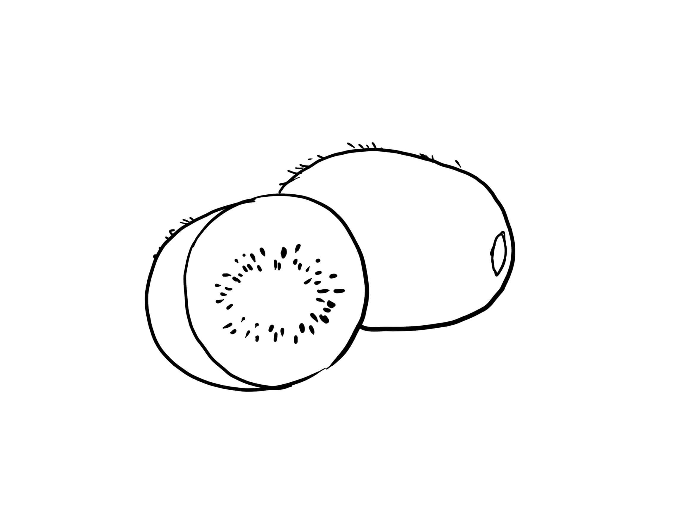 Dibujo de Gran Kiwi para Colorear