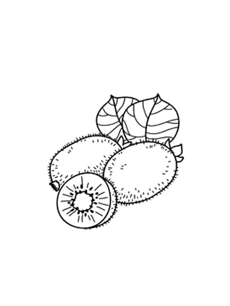 Dibujo de Kiwi con Hoja para Colorear