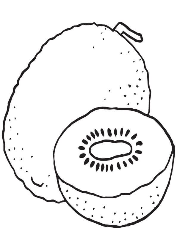 Dibujo de Sencillo un Kiwi y Medio Kiwi para Colorear