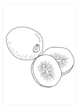 Dibujo de Un Kiwi y Dos Medios Kiwi para Colorear