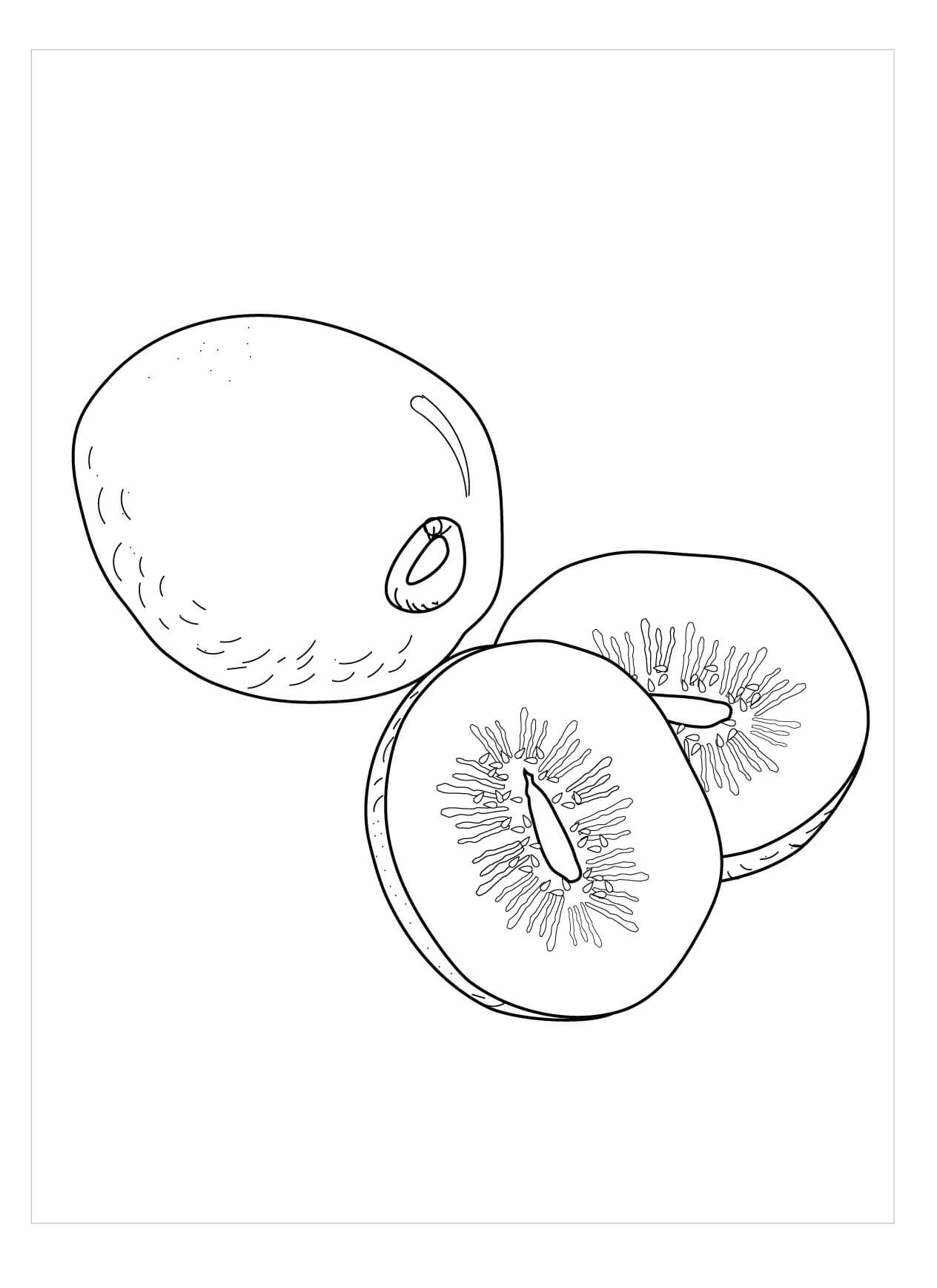 Dibujo de Un Kiwi y Dos Medios Kiwi para Colorear