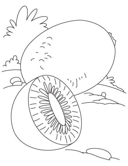 Dibujo de Un Kiwi y Medio Kiwi para Colorear