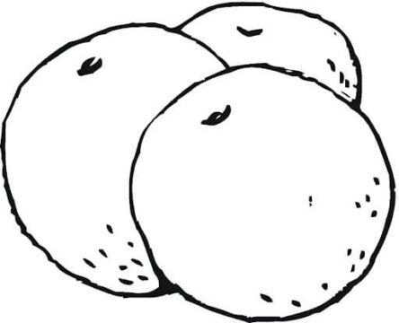 Dibujo de Tres Kumquat para Colorear