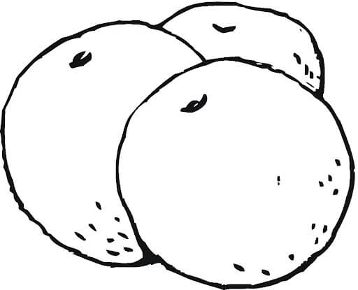 Dibujo de Tres Kumquat para Colorear