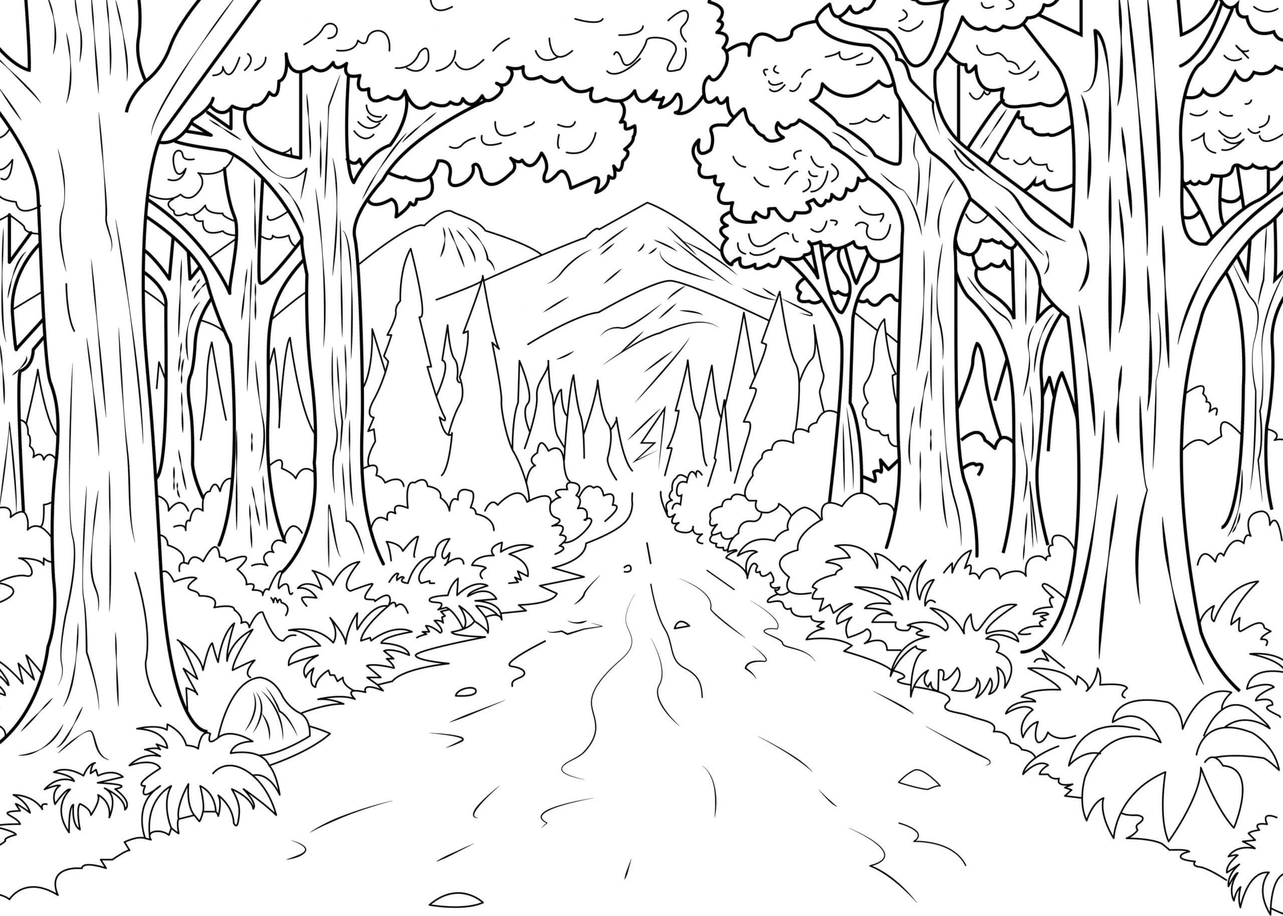 Dibujo de Camino Natural en el Bosque 1 para Colorear