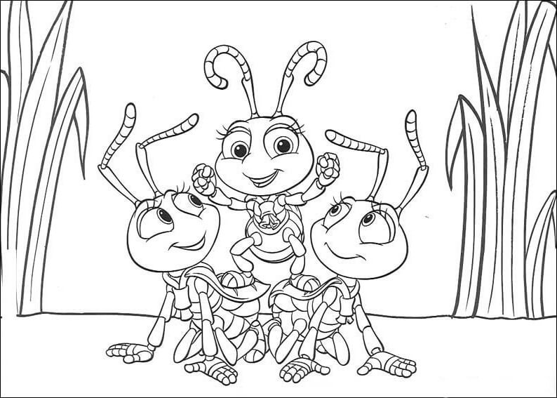 Dibujo de Insectos para Colorear