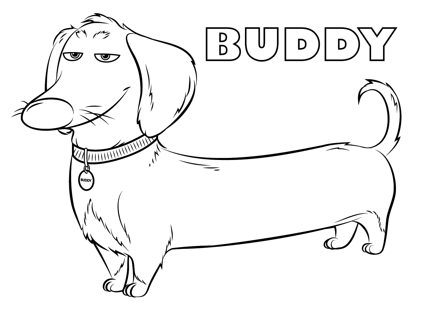 Dibujo de 1559535057 Buddy A4 para Colorear