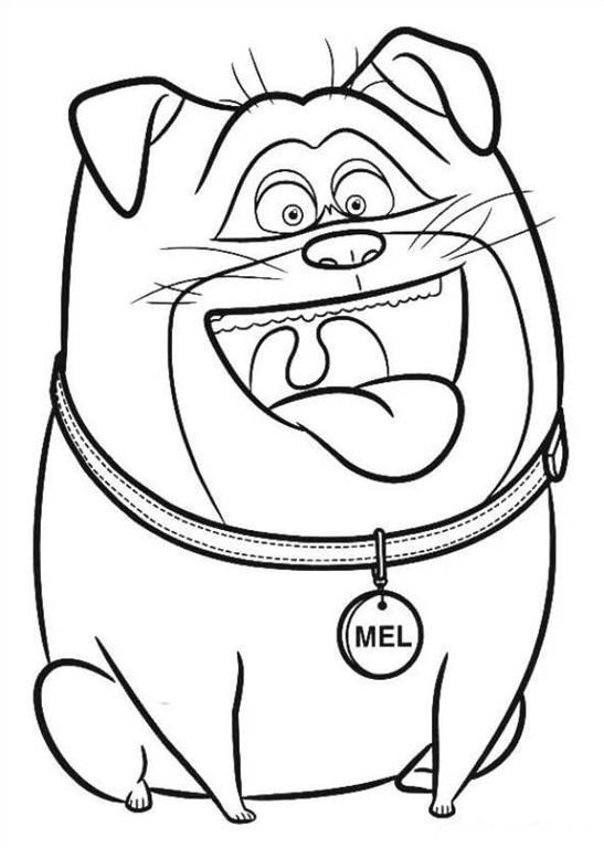 Dibujo de 1559612784 Happy Mel A4 para Colorear