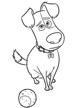 Dibujo de 1559695748 Max With Tennis Ball A4 para Colorear