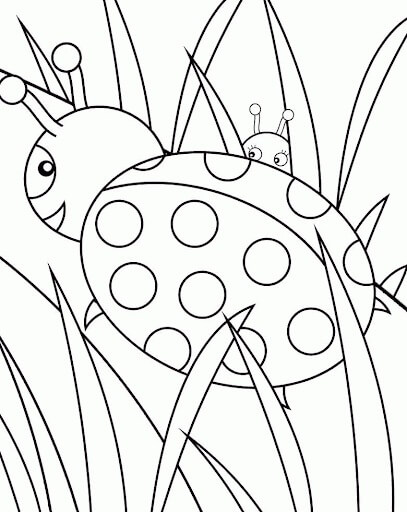 Dibujo de Gran Mariquita para Colorear