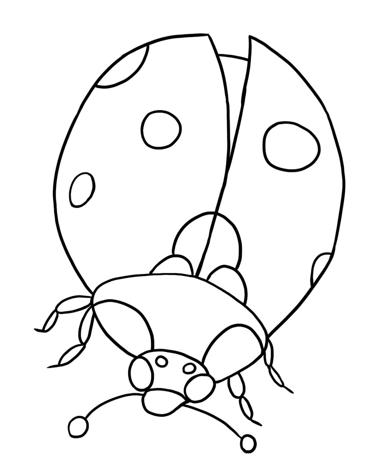 Dibujo de Hermosa Mariquita para Colorear