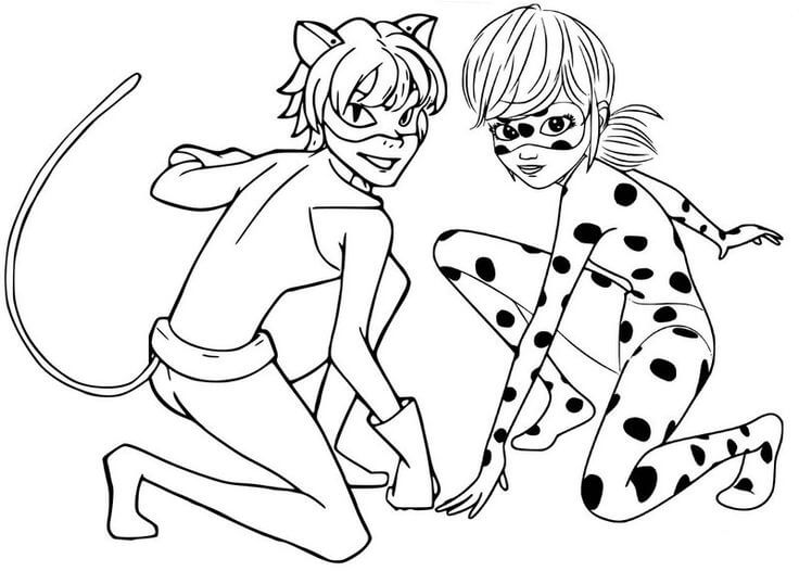 Dibujo de Ladybug básica y Cat Noir para Colorear