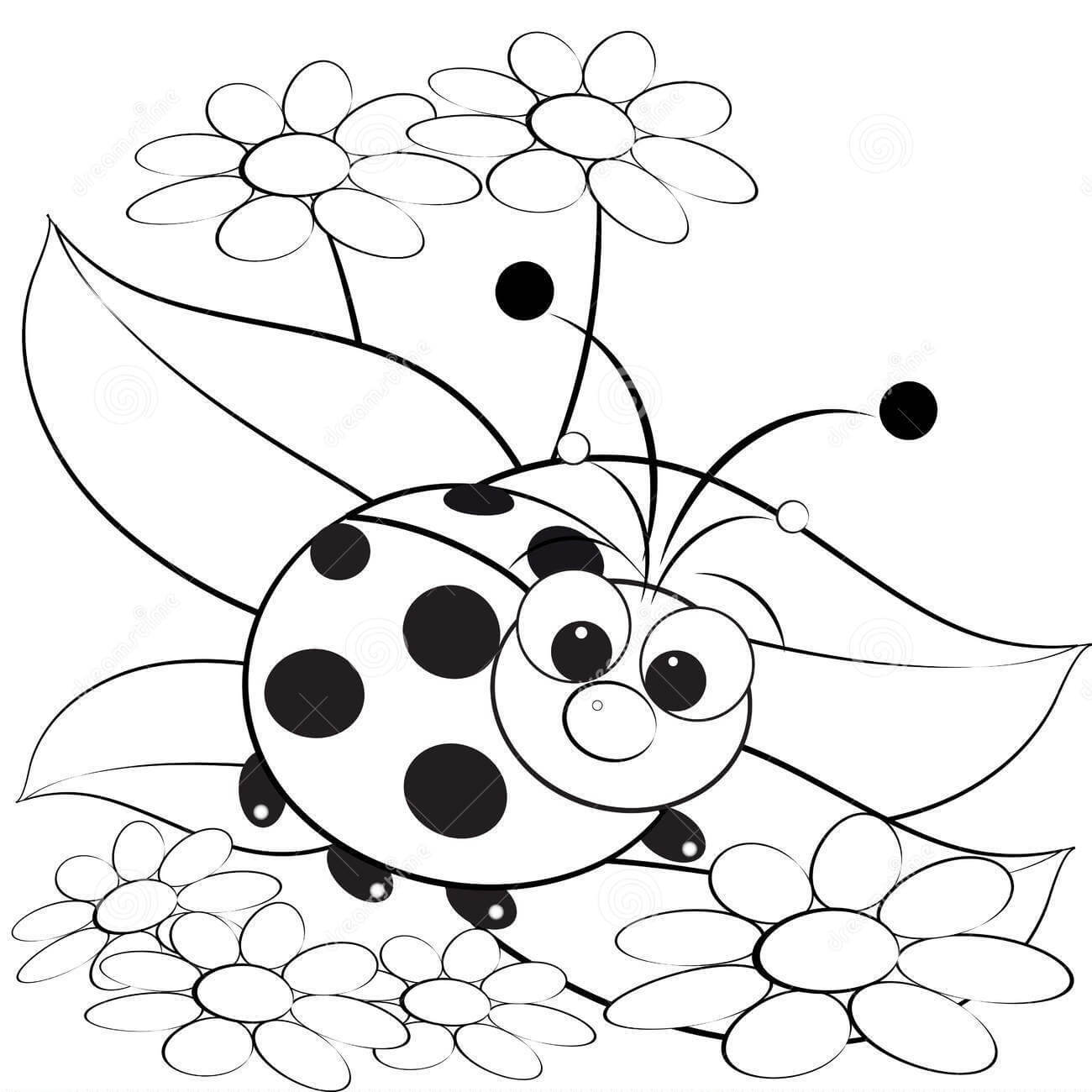 Dibujo de Mariquita con Flor para Colorear