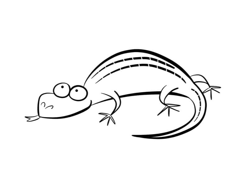 Dibujo de Lagarto para Colorear