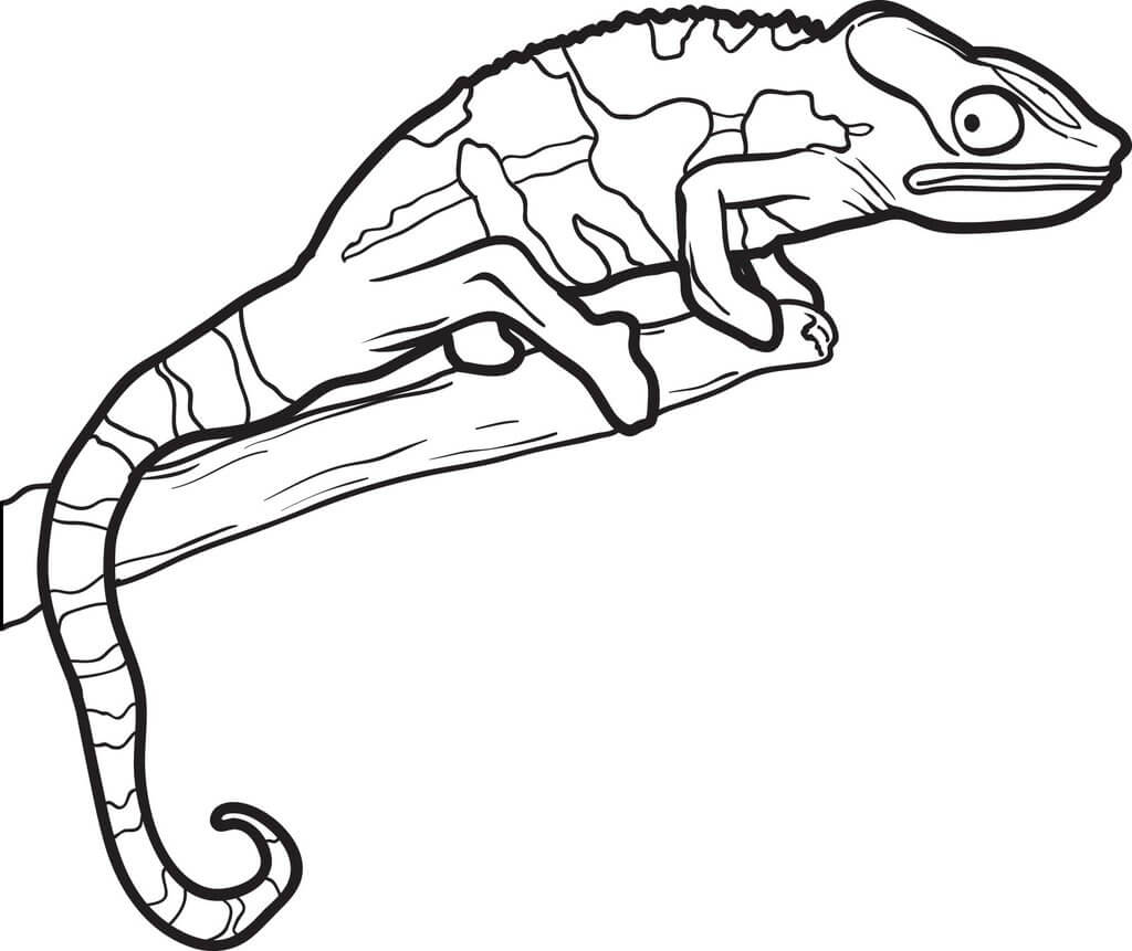Dibujo de Gran Lagarto para Colorear