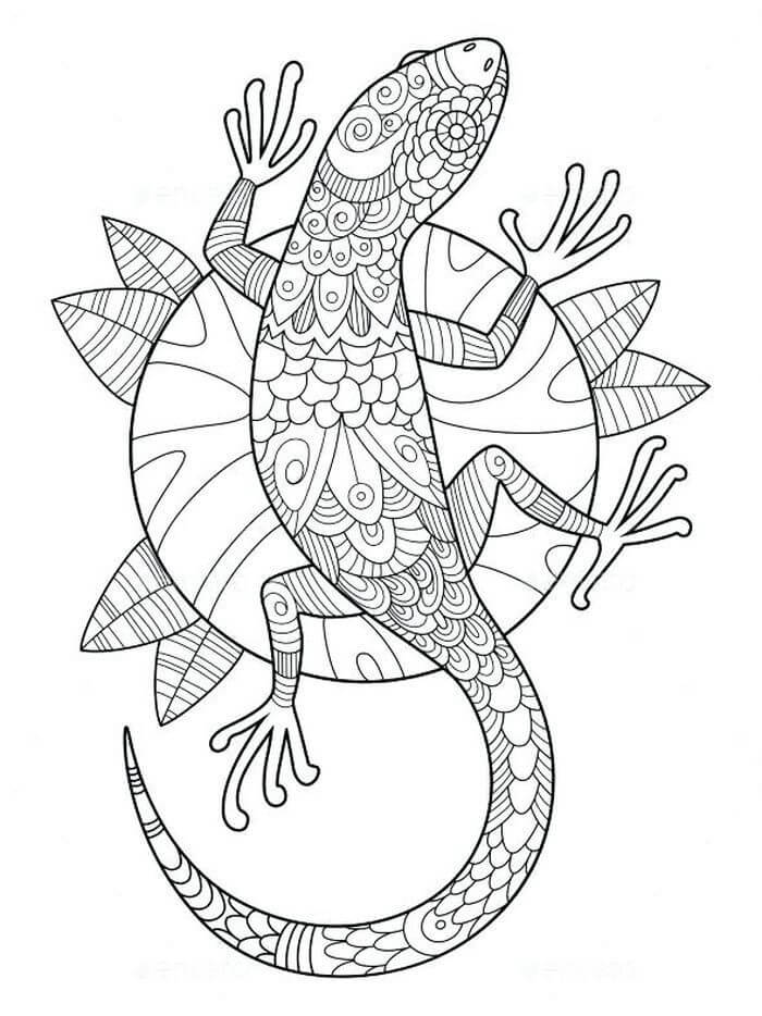Dibujo de Lagarto Duro 1 para Colorear