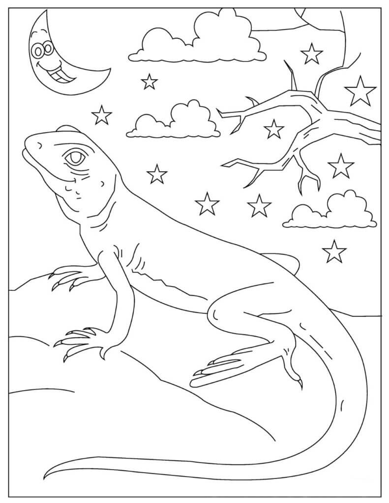 Dibujo de Lagarto Imprimible para Colorear