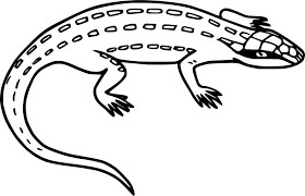 Dibujo de Lagarto Leopardo para Colorear