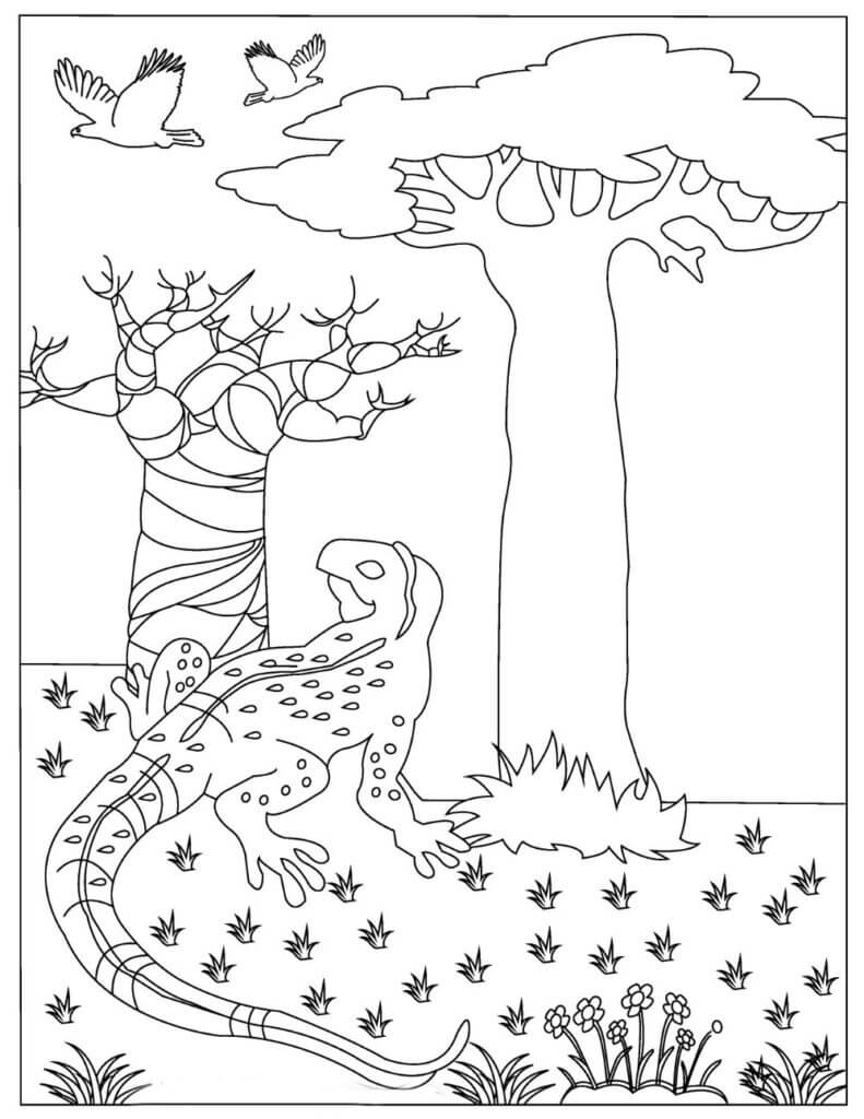 Dibujo de Lagarto Libre para Colorear