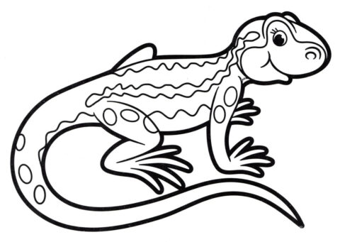 Dibujo de Lagarto Sonriendo para Colorear