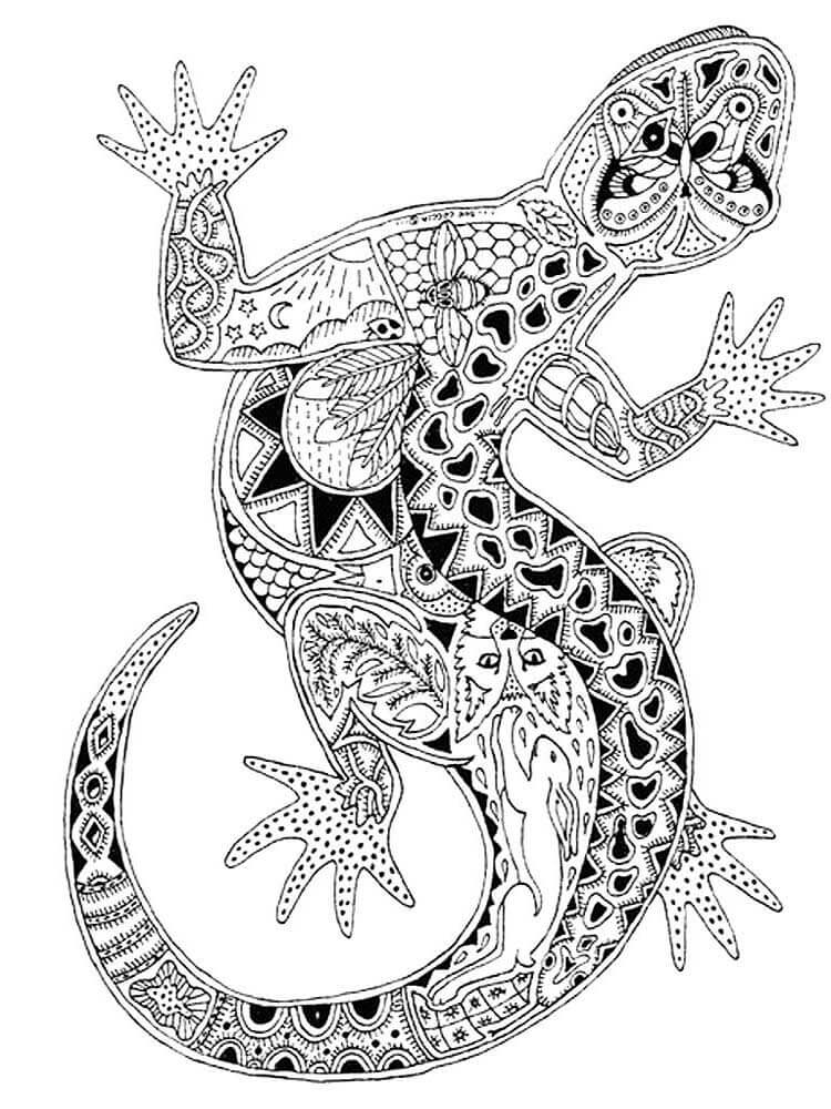 Dibujo de Mandala de Lagarto para Colorear