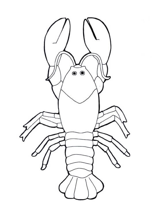 Dibujo de Langosta Adorable para Colorear