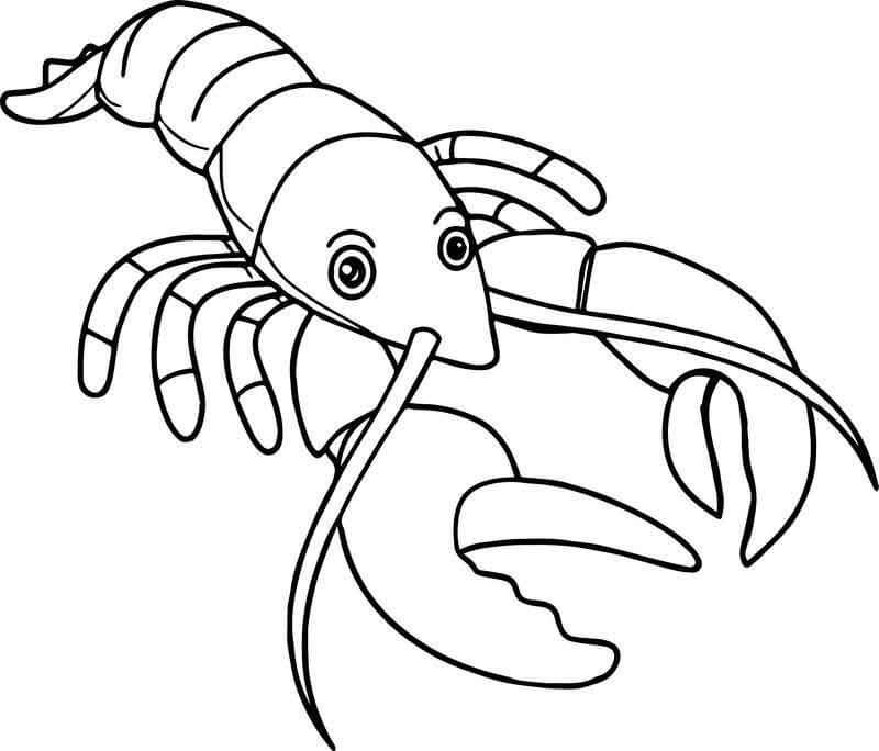 Dibujo de Langosta Imprimible para Colorear