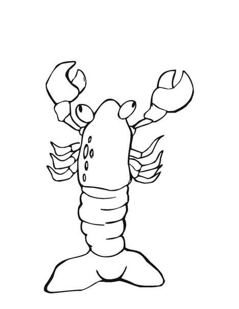 Dibujo de Langosta Roja para Colorear