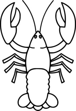 Dibujo de Langosta Simple para Colorear