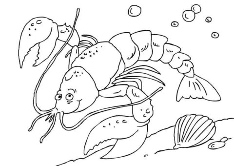 Dibujo de Langosta Vieja para Colorear