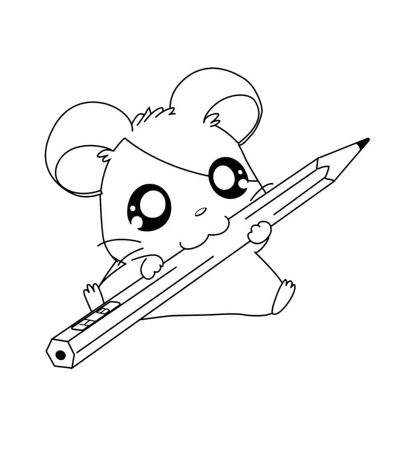 Dibujo de Hamster con lápiz para Colorear