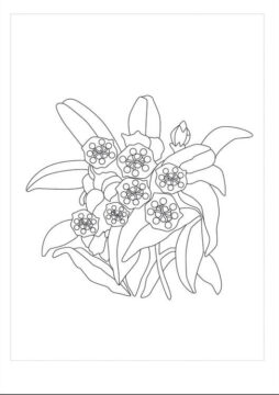 Dibujo de Laurel Imprimible para Colorear