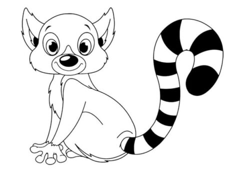 Dibujo de Lemur Sentado para Colorear