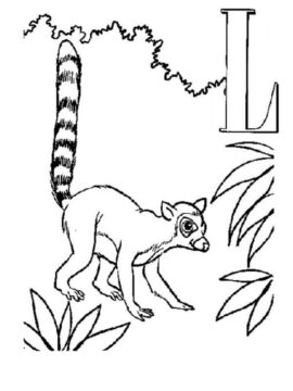 Dibujo de Lemur y Letra L para Colorear