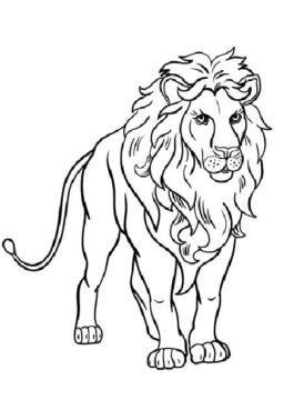 Dibujo de León Libre para Colorear