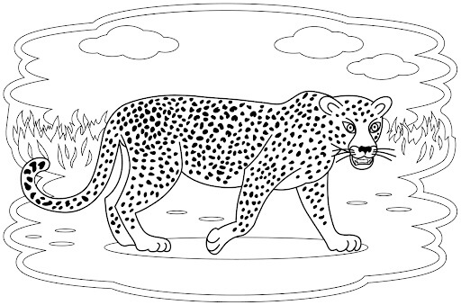 Dibujo de Bonito Leopardo para Colorear