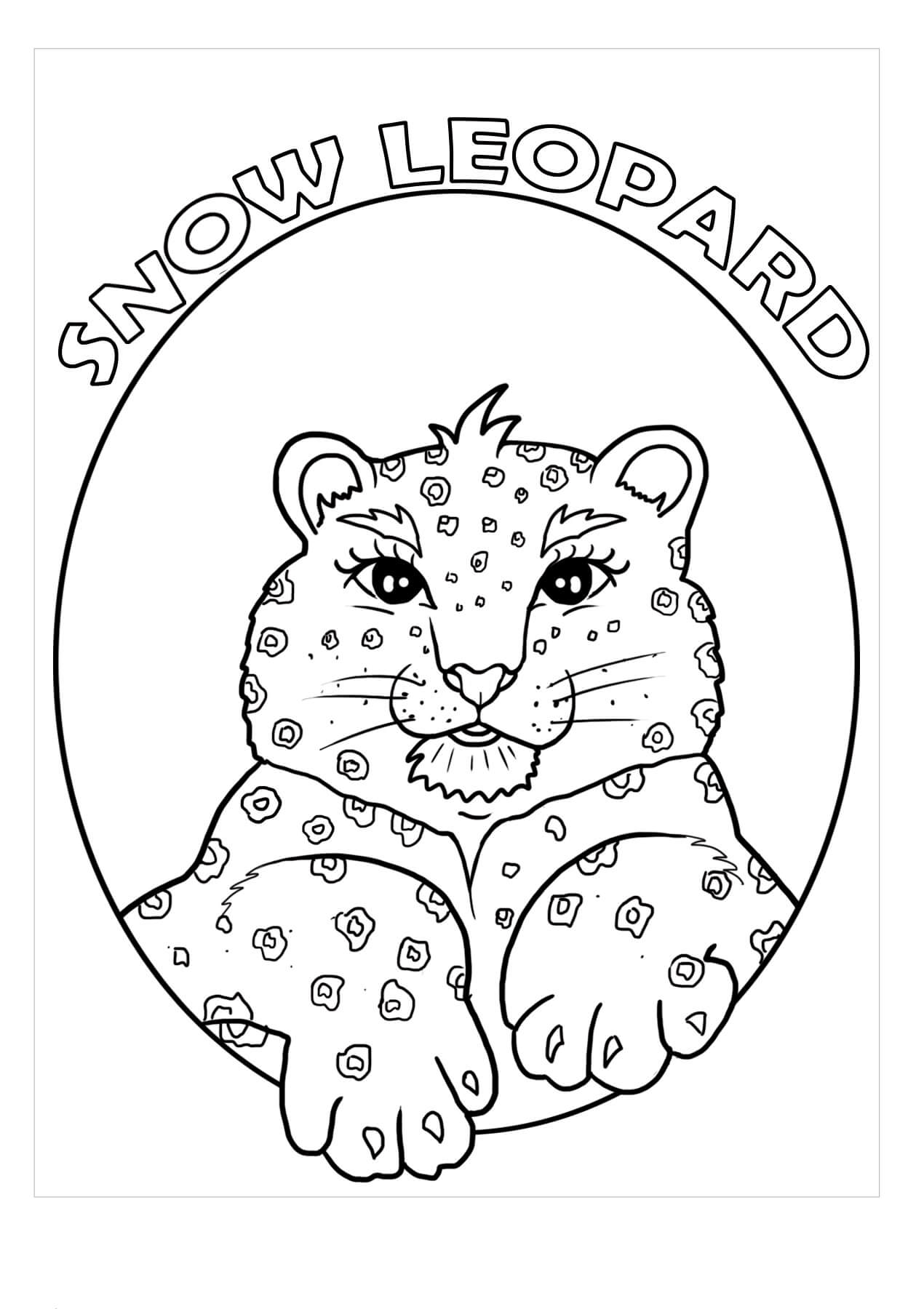 Dibujo de Cara de Leopardo de las Nieves para Colorear