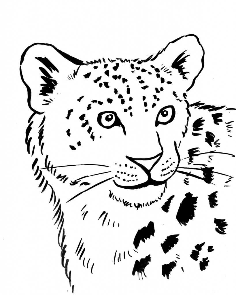 Dibujo de Cara de Leopardo para Colorear