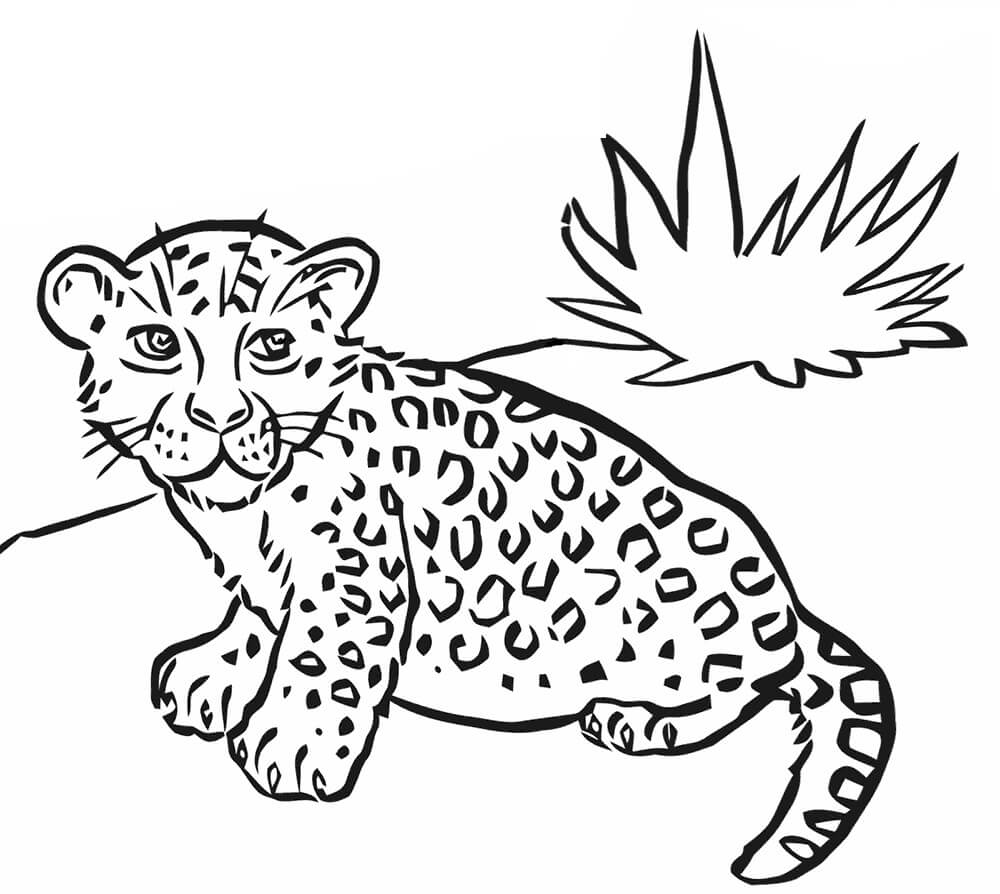 Dibujo de Leopardo para Colorear