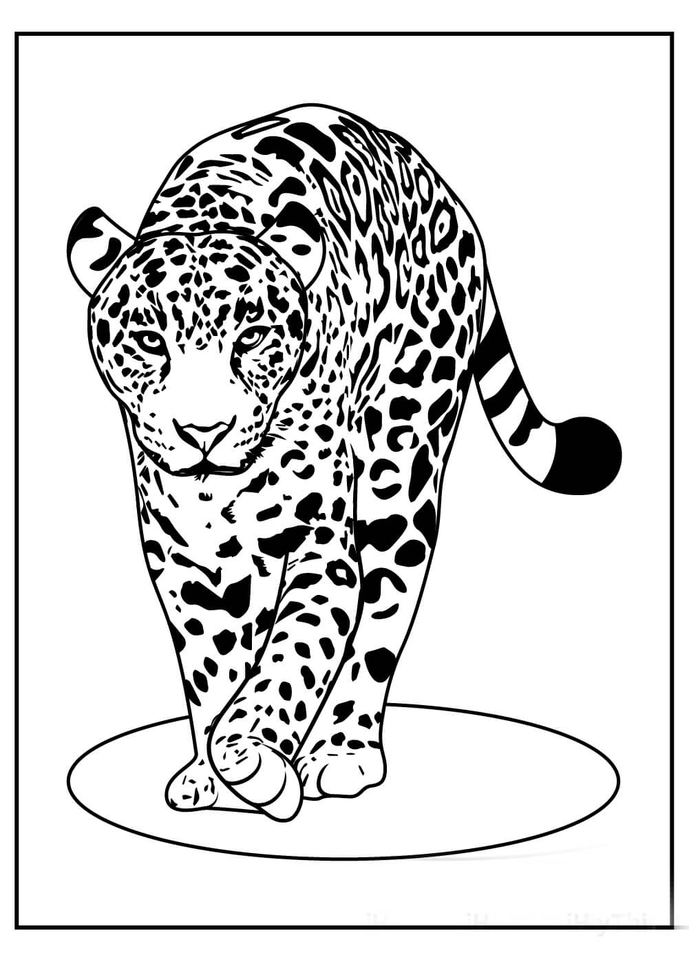 Dibujo de Genial Leopardo Caminando para Colorear