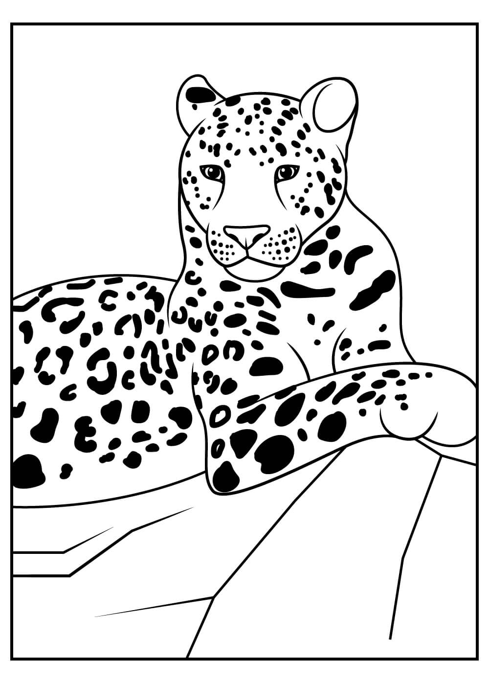 Dibujo de Leopardo Acostado para Colorear