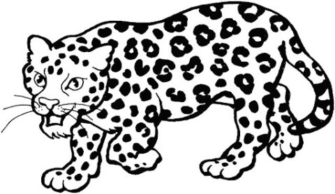 Dibujo de Leopardo Simple para Colorear