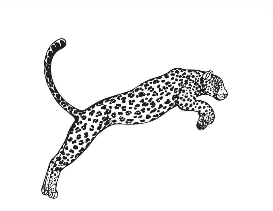 Dibujo de Salto de Leopardo para Colorear