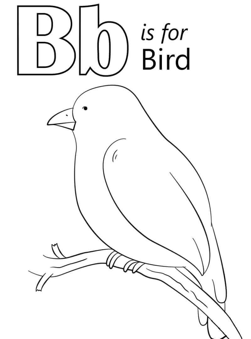 Dibujo de Pájaro Letra B para Colorear