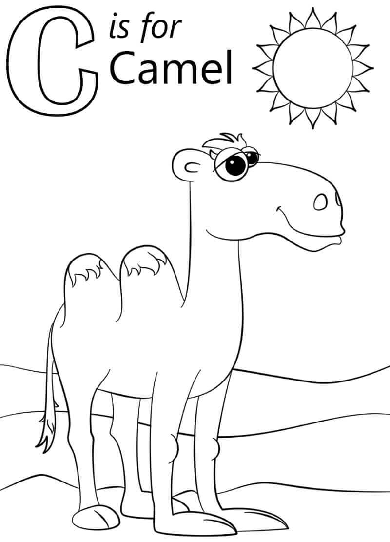 Dibujo de Camello Letra C para Colorear