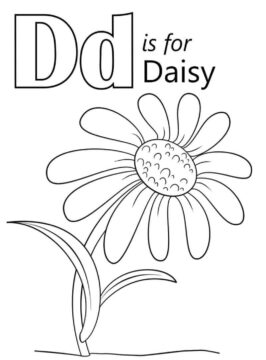 Dibujo de Margarita Letra D para Colorear