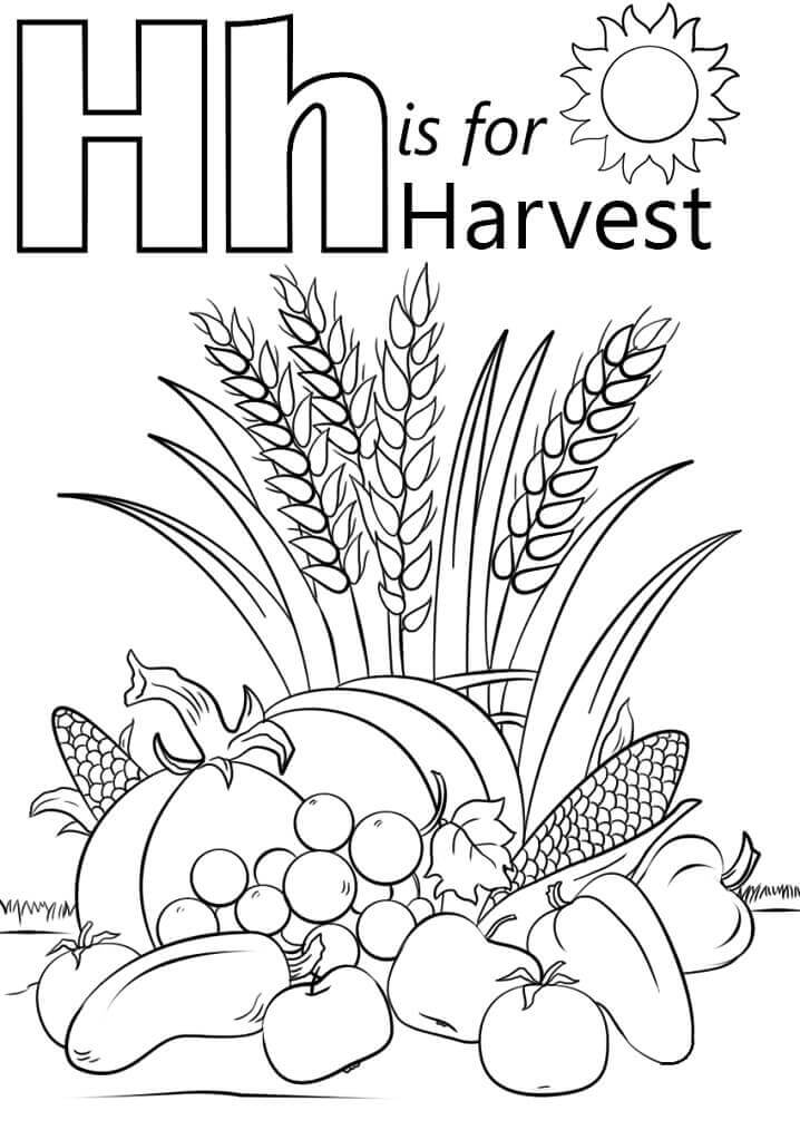 Dibujo de Cosecha Letra H para Colorear