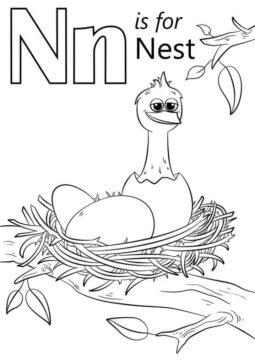 Dibujo de Nido Letra N para Colorear